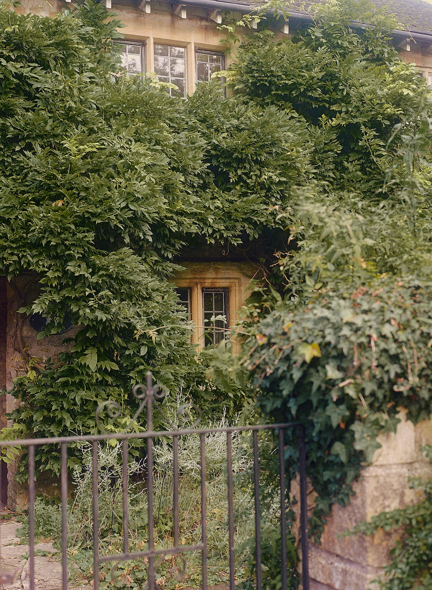 Colette Woods, poésie du quotidien
